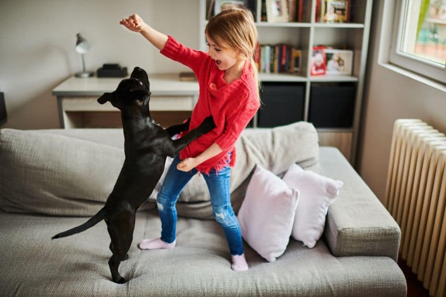 A black puppy playing with their young human