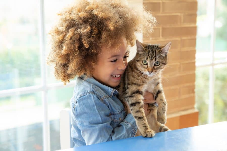 A child holding their cat