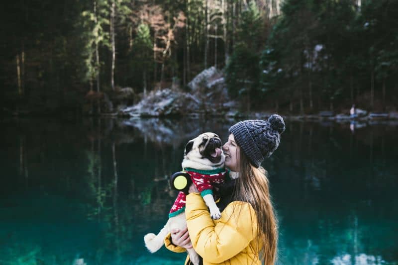 A pampered pet pug near a lake with its owner. The pug is wearing a red sweater and its owner is wearing a blue hat and yellow jacket. 