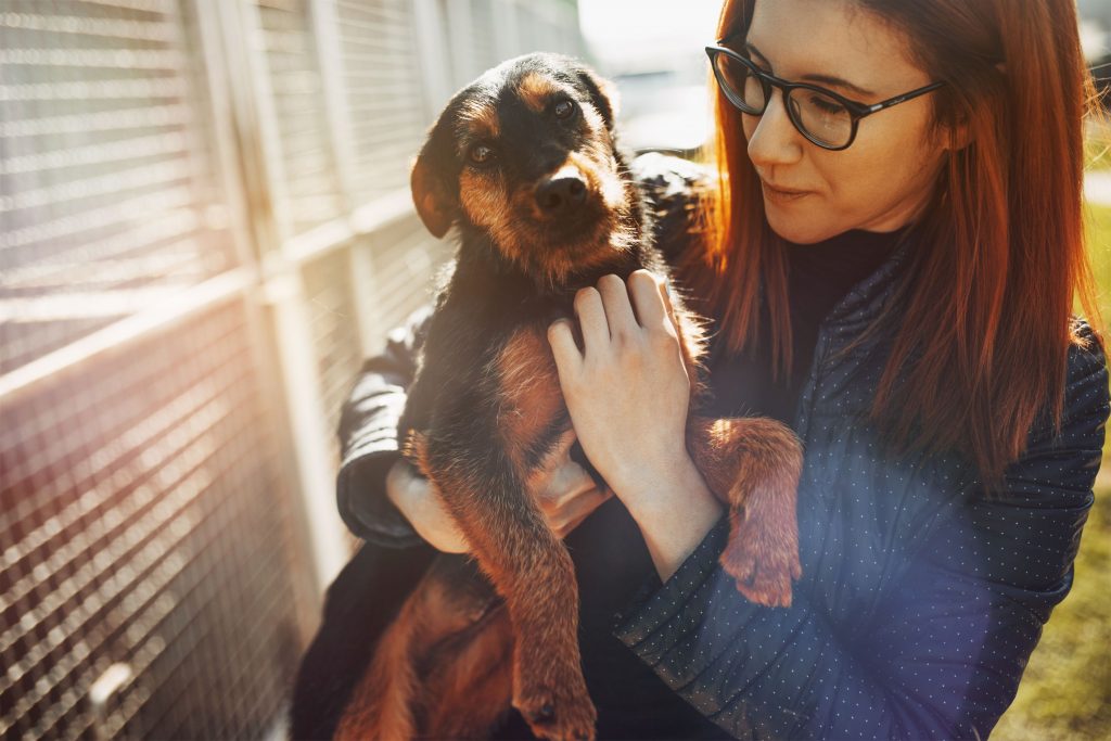 Things to consider before surrendering a pet.