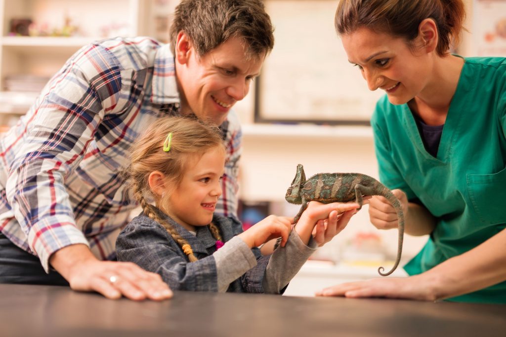 Family with exotic pet visit the veterinarian.