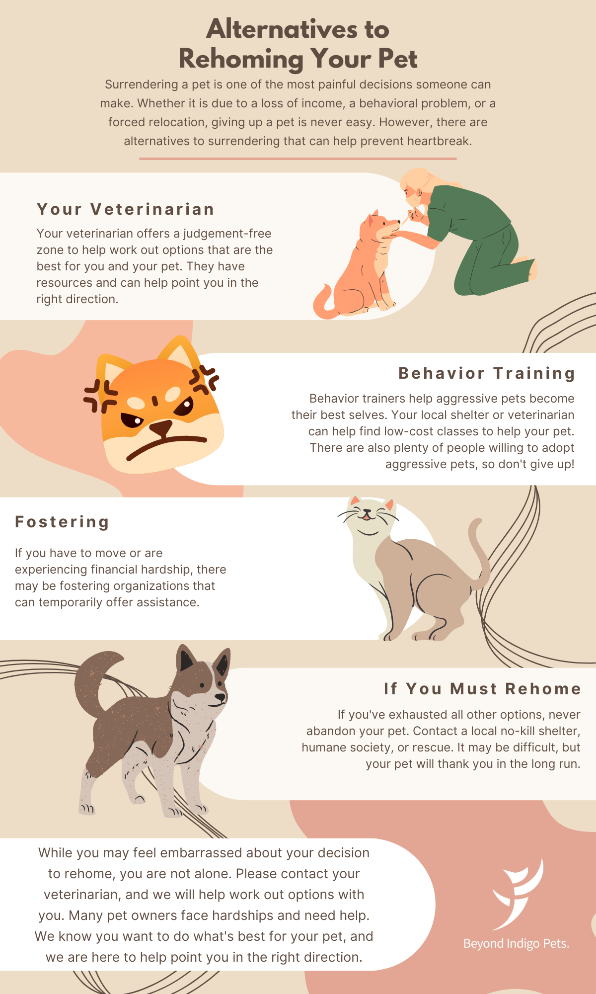 what should you not give to dogs