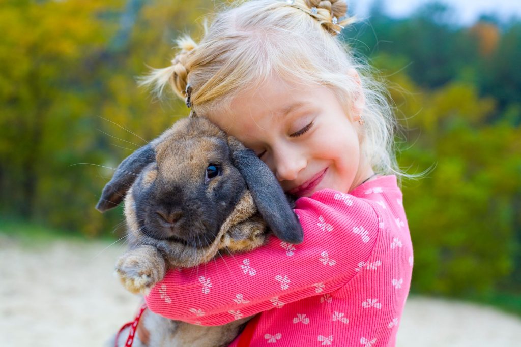 Happy child hugging a pet bunny.