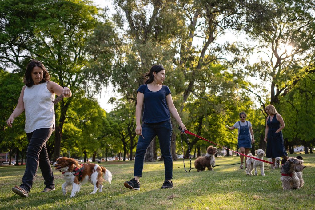 Dog owners with their dogs at the dog park.