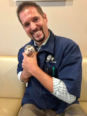 veterinarian holding hedgehog at beevet animal hospital in austin texas.